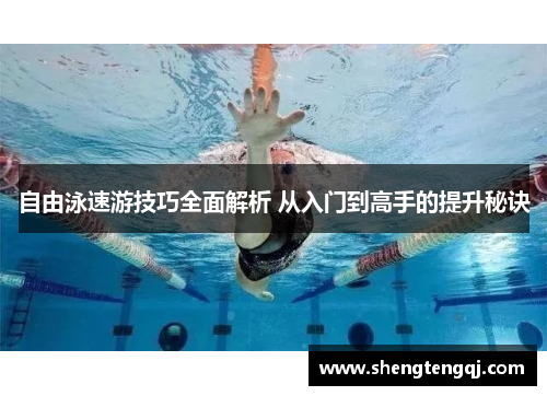 自由泳速游技巧全面解析 从入门到高手的提升秘诀